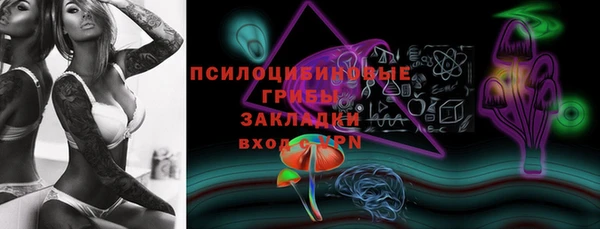сатива Аркадак