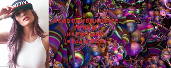 не бодяженный Арсеньев