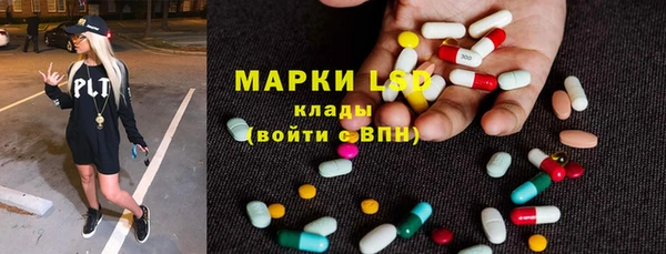 сатива Аркадак
