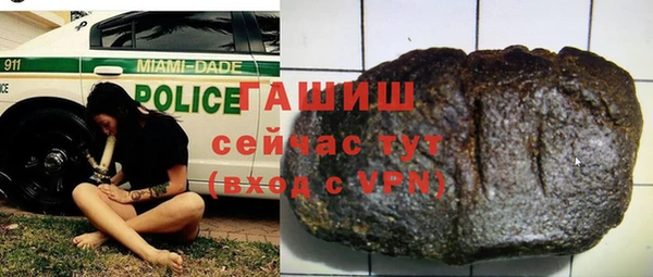 сатива Аркадак