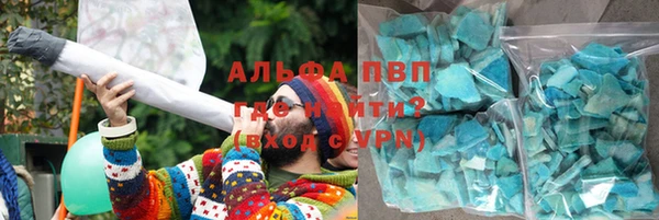 сатива Аркадак
