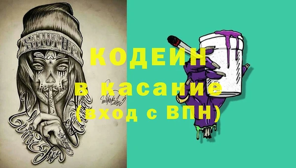 сатива Аркадак