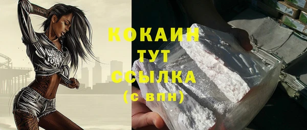 сатива Аркадак
