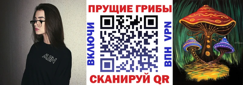 KRAKEN   Печоры  Псилоцибиновые грибы Cubensis 
